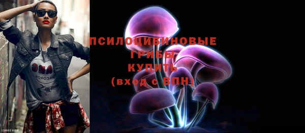 сатива Алексеевка