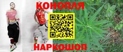 винт Славгород