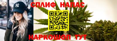 прущие грибы Сланцы