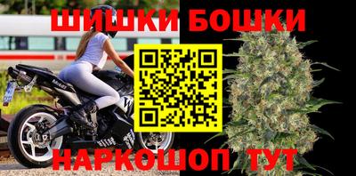 прущие грибы Сланцы