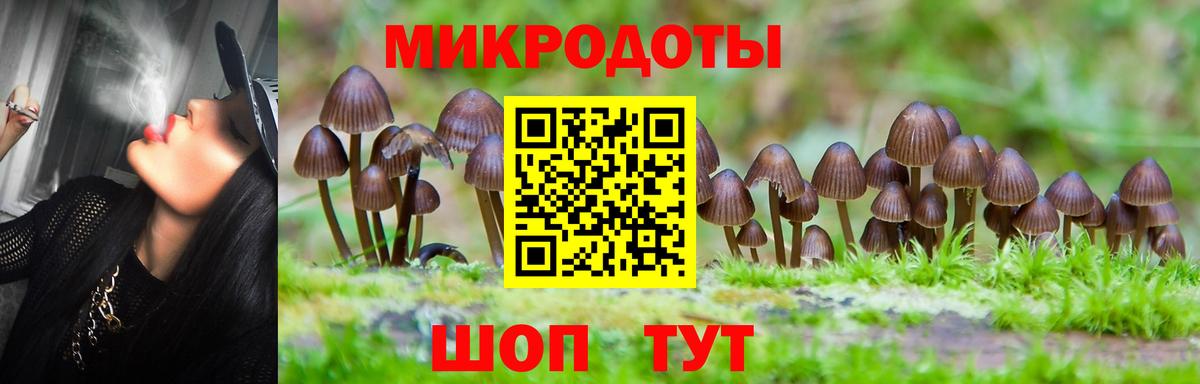 Павлово  Галлюциногенные грибы мицелий  цена   Вход с VPN  Псилоцибиновые грибы Psilocybe 
